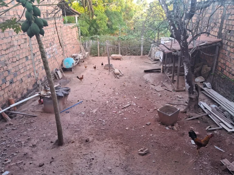 WhatsApp-Image-2025-10-09-at-09.04.01-1