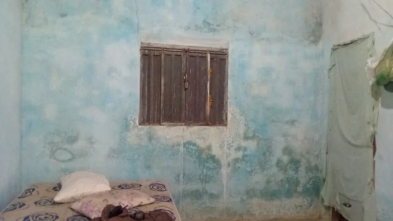 WhatsApp-Image-2025-10-16-at-18.39.41-1