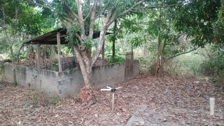 WhatsApp-Image-2025-10-16-at-18.39.42